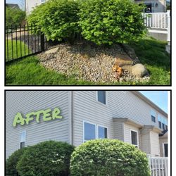 Mr Lawn Care