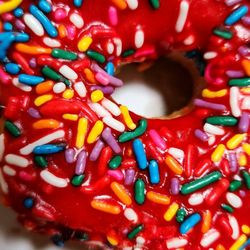 Shipley Do-Nuts - Assorted Donuts (1 Dozen)