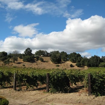 Fortino Winery - Venues & Event Spaces Near Me - Gilroy, California Fortino Winery - Venues & Event Spaces Near Me - Gilroy, California