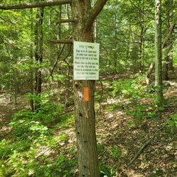 Goedecke & Humphrey Trailhead