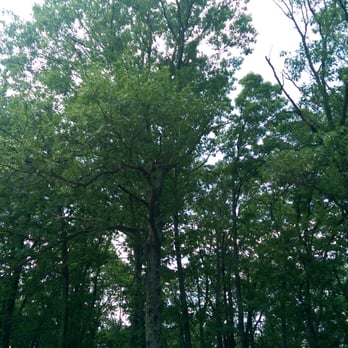 Greensfelder Park - Parks Near Me - Pacific, Missouri Greensfelder Park - Parks Near Me - Pacific, Missouri