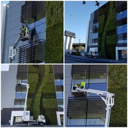 Maintain My Castle - Commercial window cleaning in West London.