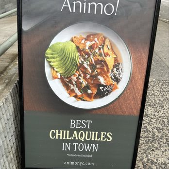 Animo - Promising! - Breakfast & Brunch Near Me - New York, New York