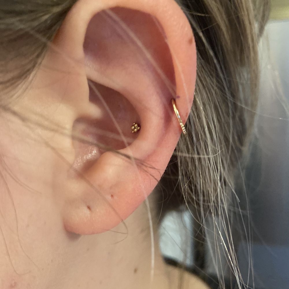 Evolved Body Art - Piercing Near Me - Columbus, Ohio Evolved Body Art - Piercing Near Me - Columbus, Ohio