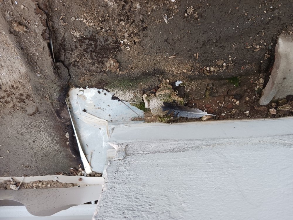 Slide of Vilma Barcenes Cleaning Services