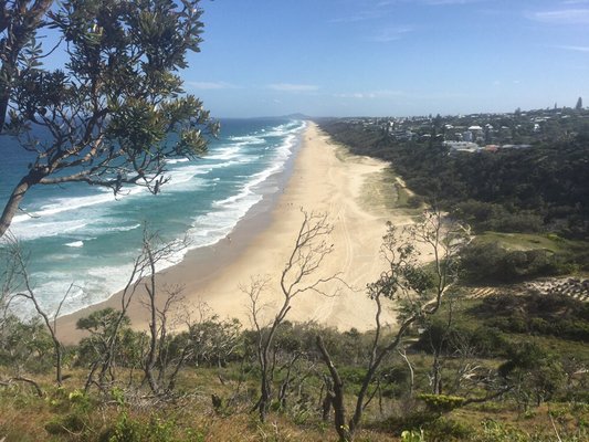 Noosa National Park by null