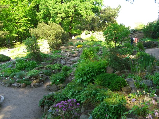 Botanical Garden of the University of Wrocław by null