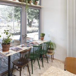 Grüner Salon