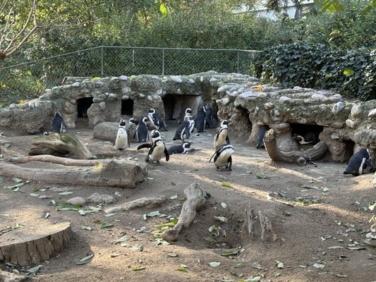 Zoo Basel by null
