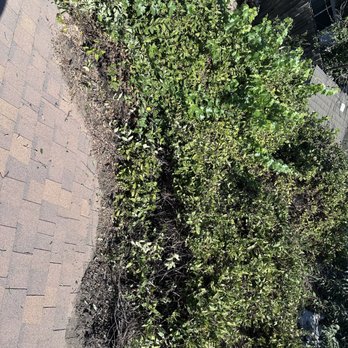 Tesoro Pristine Property Cleaning - Clean debris off roof - Auto Detailing Near Me