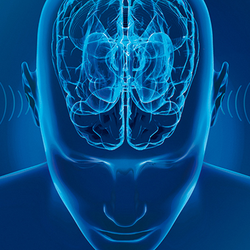 Pehringer Audiological - Hearing Solutions Group works with the latest Neurotechnology to optimize your hearing abilities