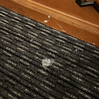 La Quinta Inn by Wyndham Phoenix Thomas Road - Dirty carpet - Hotels Near Me - Phoenix, Arizona