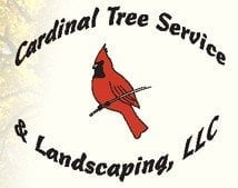 Cardinal Tree Service - tree service in Indianapolis, IN