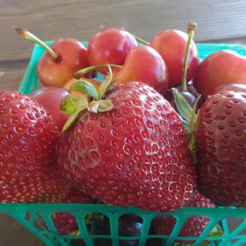 Sun Strawberry - So yummy - Fruits & Veggies Near Me - Elk Grove, California Sun Strawberry - So yummy - Fruits & Veggies Near Me - Elk Grove, California