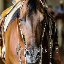 Brooke Carlson Equestrian Center