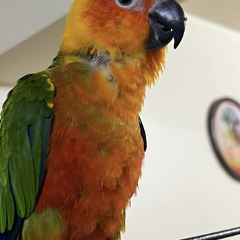 Garden State Pet Center - Reptile Shops Near Me - Audubon, New Jersey
