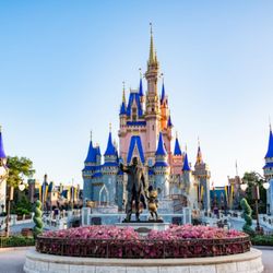 user provided Walt Disney World® Resort photo