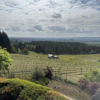 Roshni Vineyard - Wineries Near Me - McMinnville, Oregon Roshni Vineyard - Wineries Near Me - McMinnville, Oregon