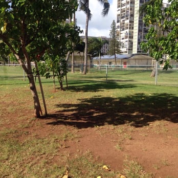 Ala Wai Dog Park - Trees provide some shade for tired dogs! - Dog Parks Near Me - Honolulu, Hawaii Ala Wai Dog Park - Trees provide some shade for tired dogs! - Dog Parks Near Me - Honolulu, Hawaii
