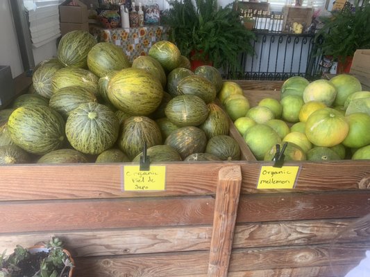 Del Bosque Farms by null