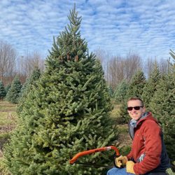 Robinson Family Christmas Tree Farm - Black Hills Spruce