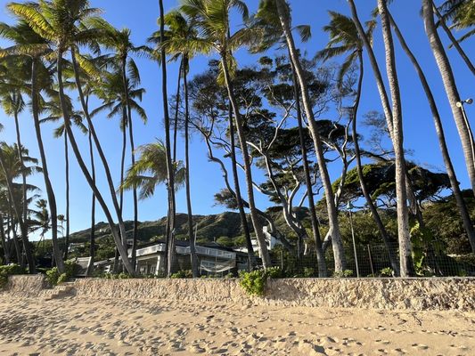 Diamond Head Beach Park by null