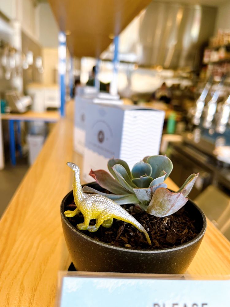 Andytown Coffee Roasters