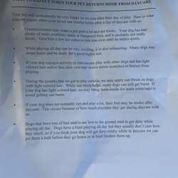 Pampered Pets Bed & Biscuit - Daycare return