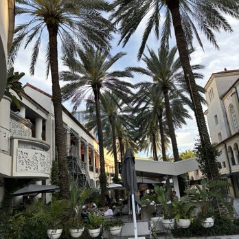 PLANTA West Palm Beach - Sushi Bars Near Me - West Palm Beach, Florida PLANTA West Palm Beach - Sushi Bars Near Me - West Palm Beach, Florida