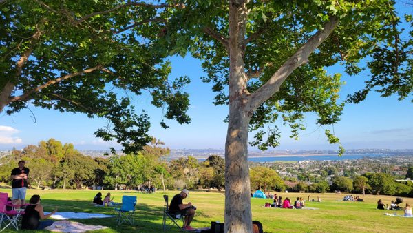 Kate Sessions Memorial Park by null