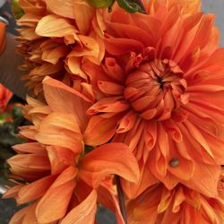 Half Moon Bay Farmers Market - Flower time!