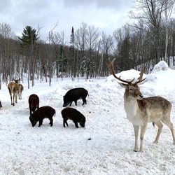Parc Omega