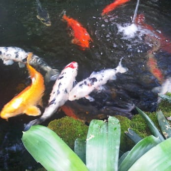 Lincoln Park Conservatory - Parks Near Me - Chicago, Illinois