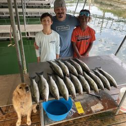 Finn’s Fishing Charter