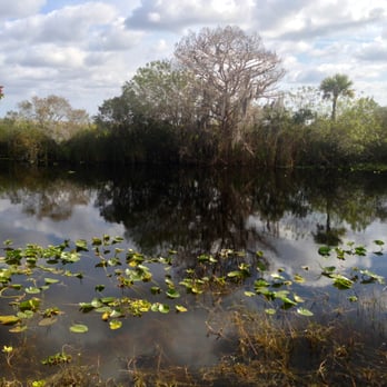 Blue Cypress Conservation Area - Love the waterways and trees and pond lilies. - Local Flavor Near Me - Vero Beach, Florida