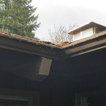 LeafFilter - Gutter Services Near Me - Lombard, Illinois