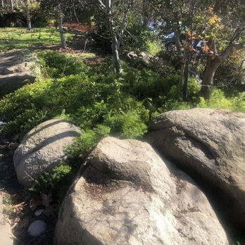 Palomar College - Rock Garden - Colleges & Universities Near Me - San Marcos, California Palomar College - Rock Garden - Colleges & Universities Near Me - San Marcos, California