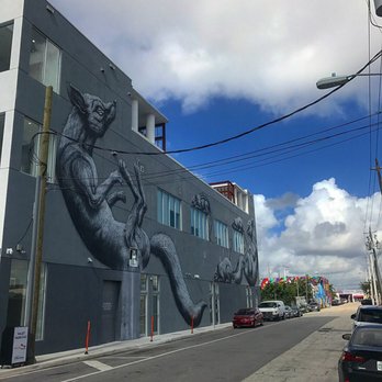 Wynwood - ROA - Art Tours Near Me - Miami, Florida Wynwood - ROA - Art Tours Near Me - Miami, Florida
