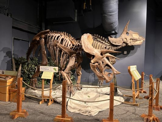 Orlando Science Center by null