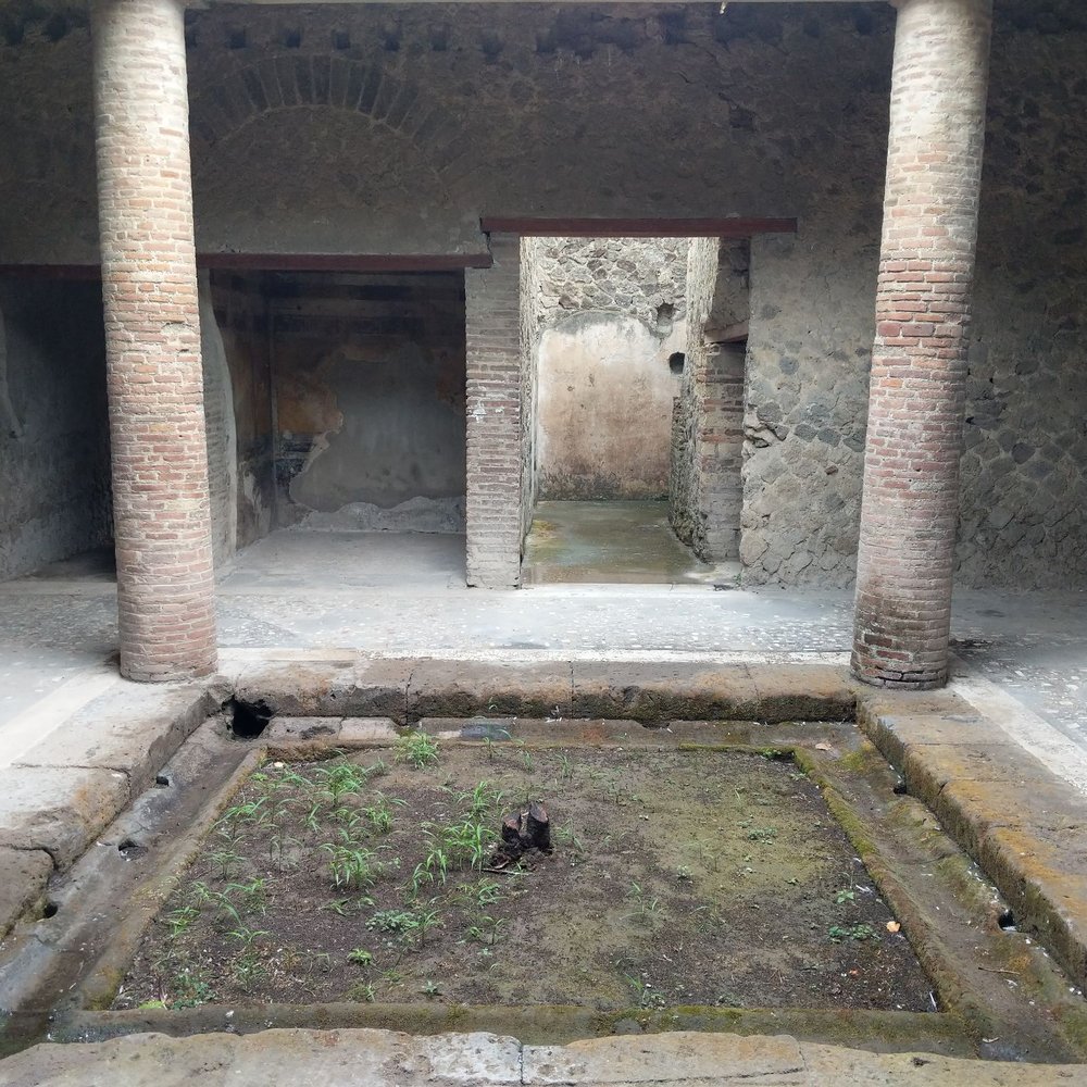 Scavi di Pompei - Interior of ruins - Museums Near Me - Pompei, NA