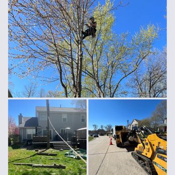 Provision Arbor Care - Tree Services Near Me - O'fallon, Missouri