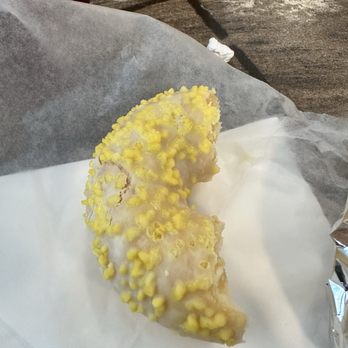 Blue Kangaroo Cafe - Lemon donut - Cafes Near Me - Barrington, Rhode Island Blue Kangaroo Cafe - Lemon donut - Cafes Near Me - Barrington, Rhode Island