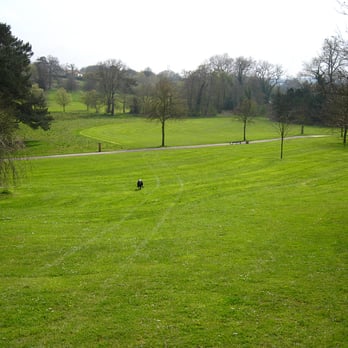 Holywells Park - Near the Bishops Hill entrance to Holywells Park (note - speeding dog!) - Parks Near Me - Ipswich, SFK