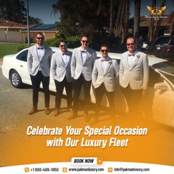 Pakman Luxury Limousine - Ready to celebrate your special occasion with style? Our team of professionals provides an unmatched, one-of-a-kind luxury fleet.