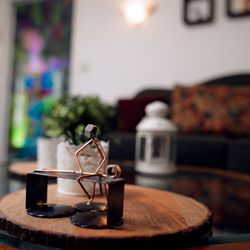 Little Bird Wellness
