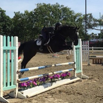 Cheval Training Stables - Horseback Riding Near Me Cheval Training Stables - Horseback Riding Near Me