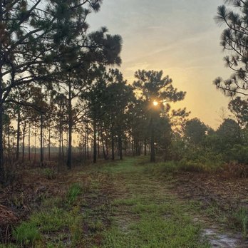 Split Oak Forest - Hiking Near Me - Orlando, Florida