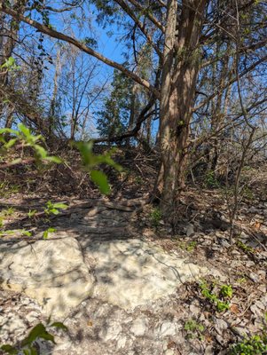 Bethany Lakes Park by null