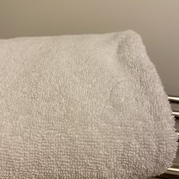 The Talbott Hotel - Hair that is not mine on the towel - Hotels Near Me - Chicago, Illinois