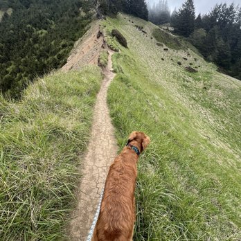 God’s Thumb Trail - Trail to Gods Thumb - Hiking Near Me - Lincoln City, Oregon